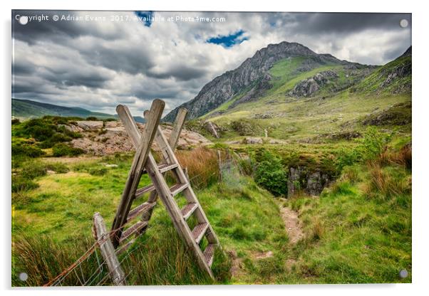 Ladder Stile To Tryfan Mountain Acrylic by Adrian Evans
