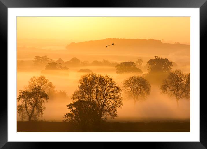 a leicestershire sunrise Framed Mounted Print by Caroline Burton