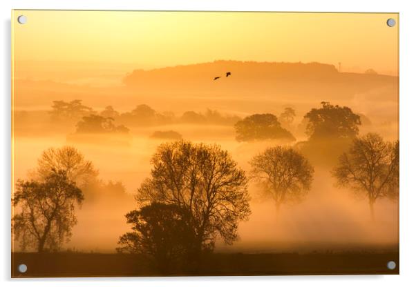 a leicestershire sunrise Acrylic by Caroline Burton