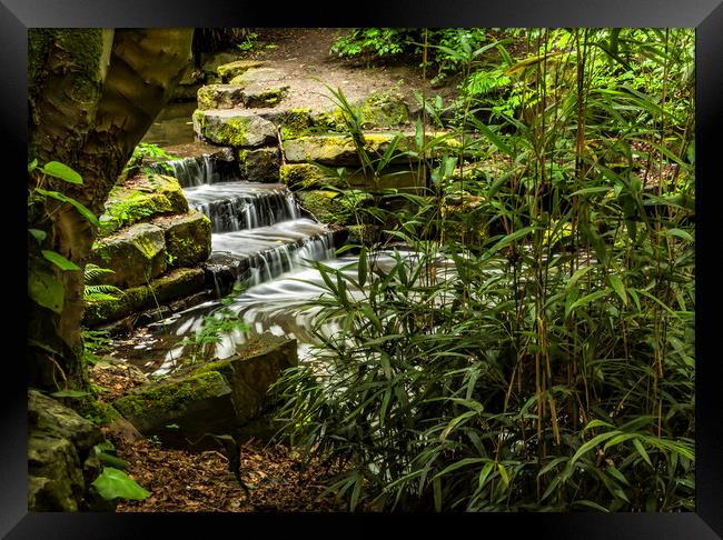 Downstairs stream Framed Print by Jonathan Thirkell