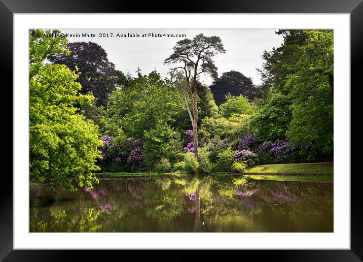 Natures Reflection Framed Mounted Print by Kevin White
