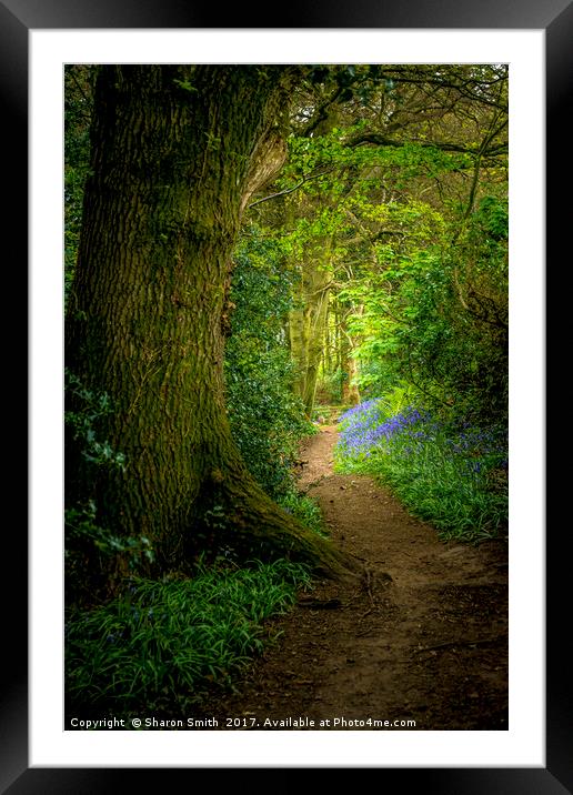 Bluebell Woods Framed Mounted Print by Sharon Smith