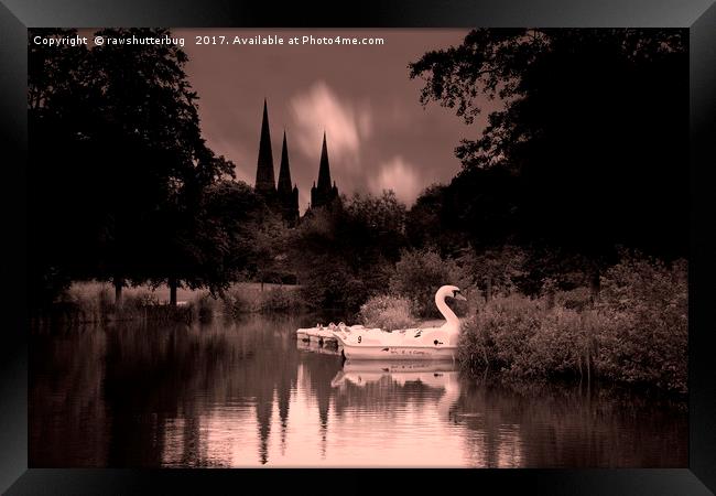 Swan Boats In The Reflection Of Lichfield Cathedra Framed Print by rawshutterbug 