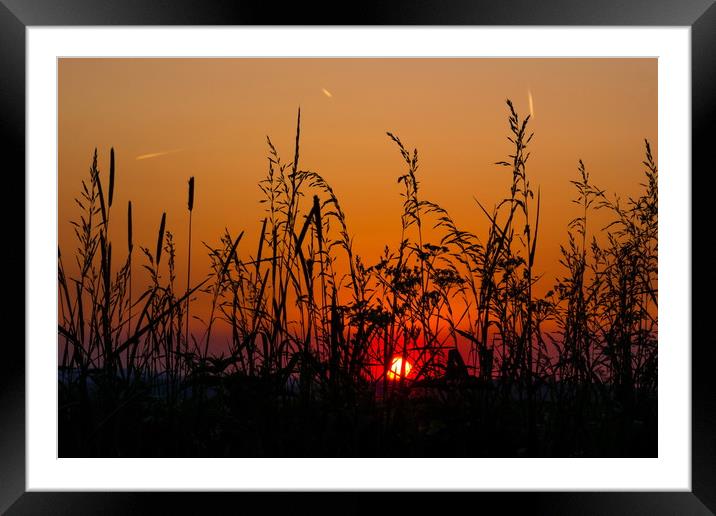 Sunset field. Framed Mounted Print by Sergey Fedoskin