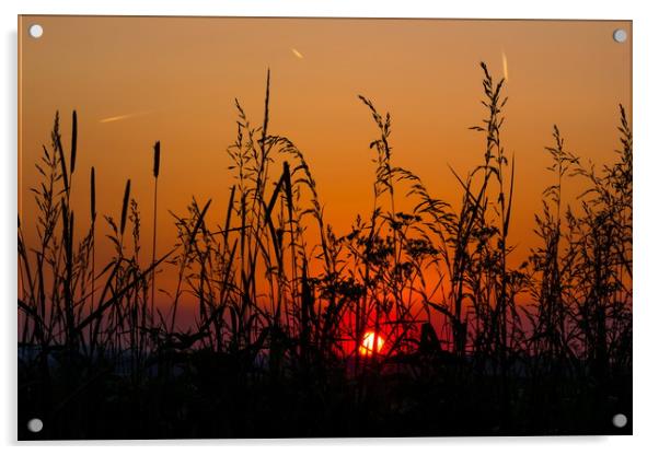 Sunset field. Acrylic by Sergey Fedoskin