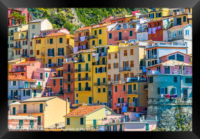 Colorful buildings of Manarola Framed Print by Marco Bicci