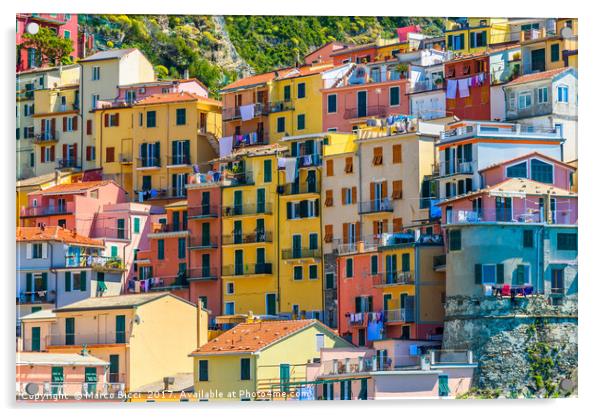 Colorful buildings of Manarola Acrylic by Marco Bicci