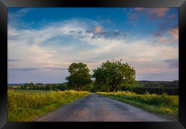Rural road in European countriside at sunset. Framed Print by Sergey Fedoskin