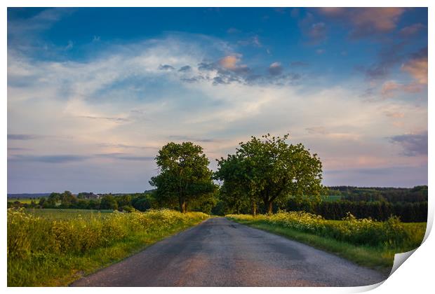 Rural road in European countriside at sunset. Print by Sergey Fedoskin