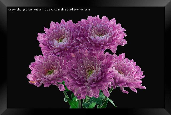 Artistic Effect Chrysanthemums Framed Print by Craig Russell