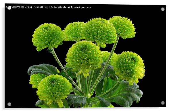 Bunch of Green Button Chrysanthemums Acrylic by Craig Russell