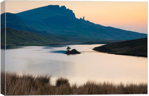 Dawn view of the Old Man Of Storr  Canvas Print by Michael Brookes
