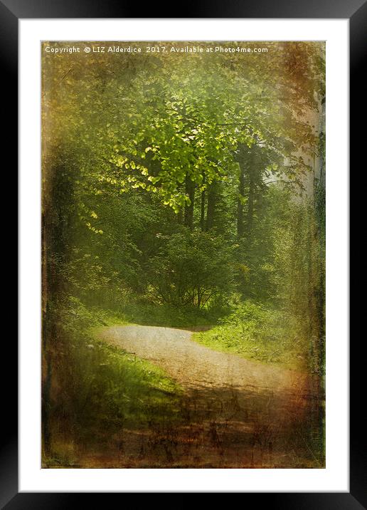 Woodland Path at Haddo Framed Mounted Print by LIZ Alderdice