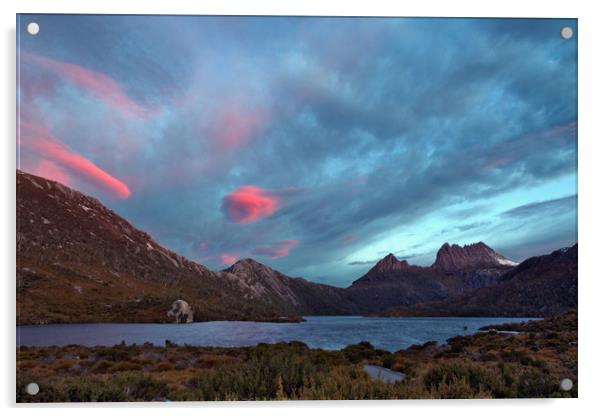 Sunset at cradle mountain tasmania Acrylic by Matthew Burniston