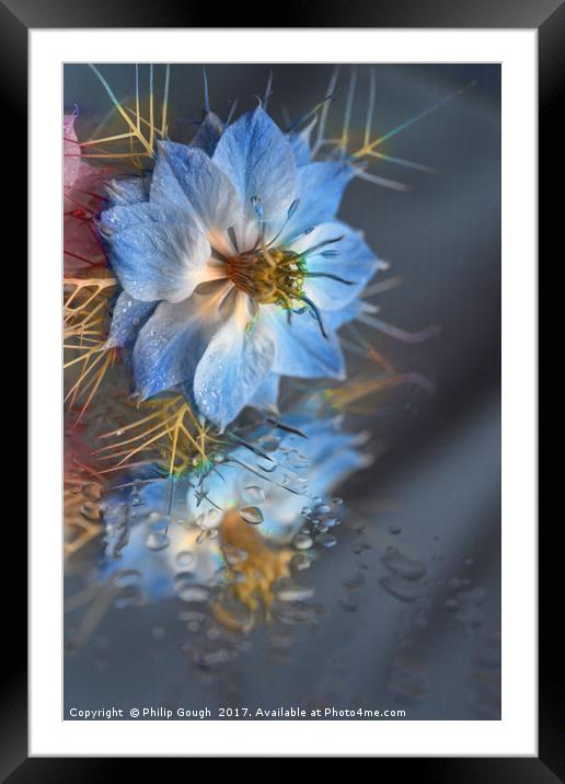 Love In The Mist Reflecting Framed Mounted Print by Philip Gough
