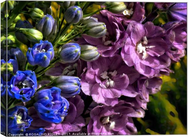 "Delightful Delphiniums" Canvas Print by ROS RIDLEY