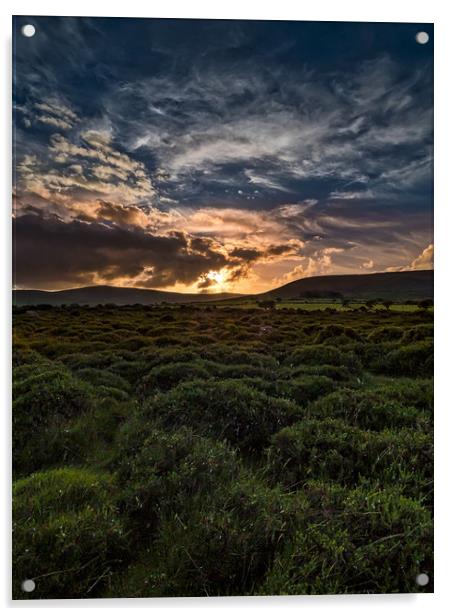 Preseli Sunset, Pembrokeshire, Wales, UK Acrylic by Mark Llewellyn
