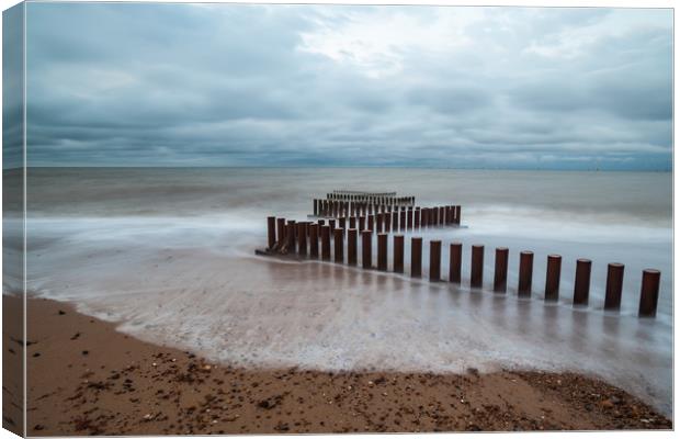 At the shore Canvas Print by Kevin Snelling