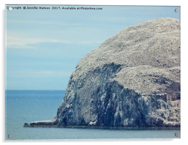 The Bass Rock Acrylic by Jennifer Henderson