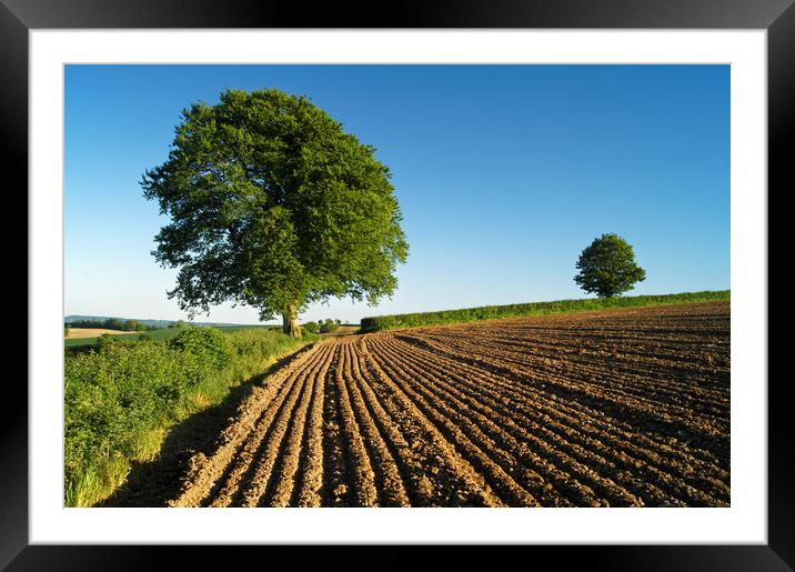 Plough Lines,Chard,Somerset                       Framed Mounted Print by Darren Galpin