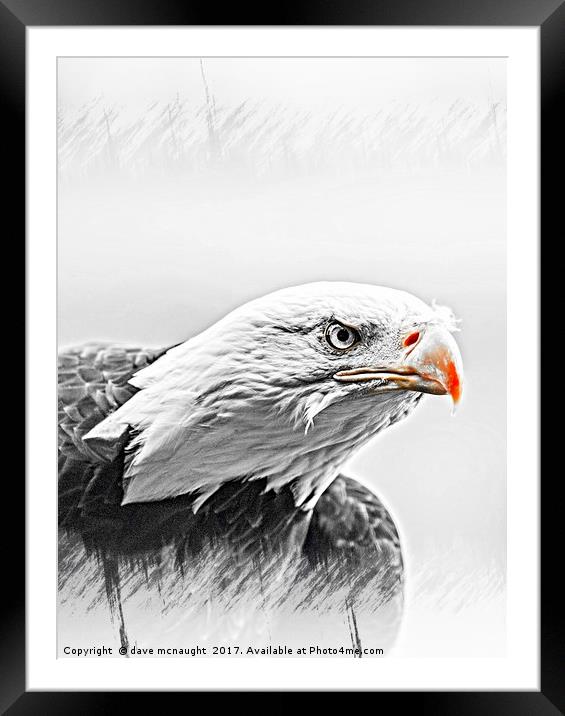 The Eagle Framed Mounted Print by dave mcnaught