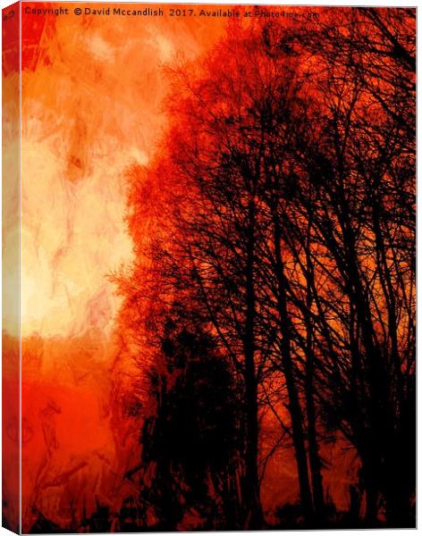 Red Forest Sunset Canvas Print by David Mccandlish