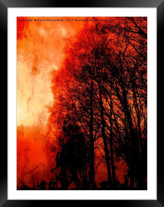 Red Forest Sunset Framed Mounted Print by David Mccandlish