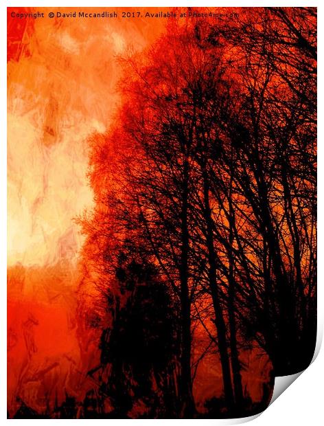 Red Forest Sunset Print by David Mccandlish