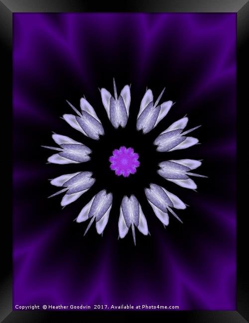 Deep Purple Framed Print by Heather Goodwin