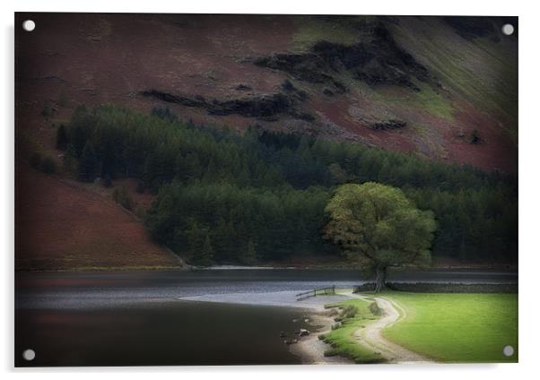 THE LONE OAK BUTTERMERE Acrylic by Anthony R Dudley (LRPS)
