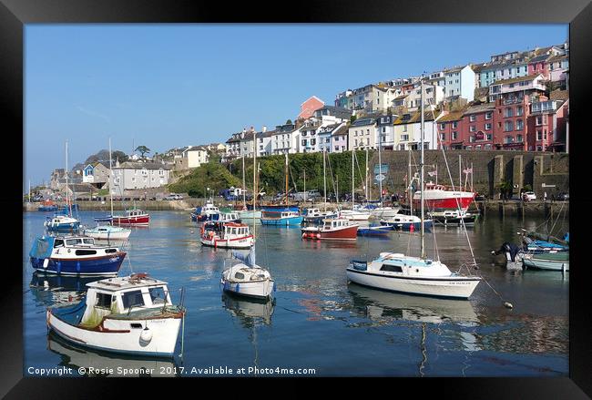 Colourful boats and houses at Brixham Harbour Framed Print by Rosie Spooner