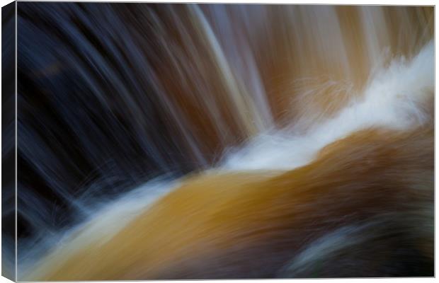 Abstract waterfall Canvas Print by Leighton Collins