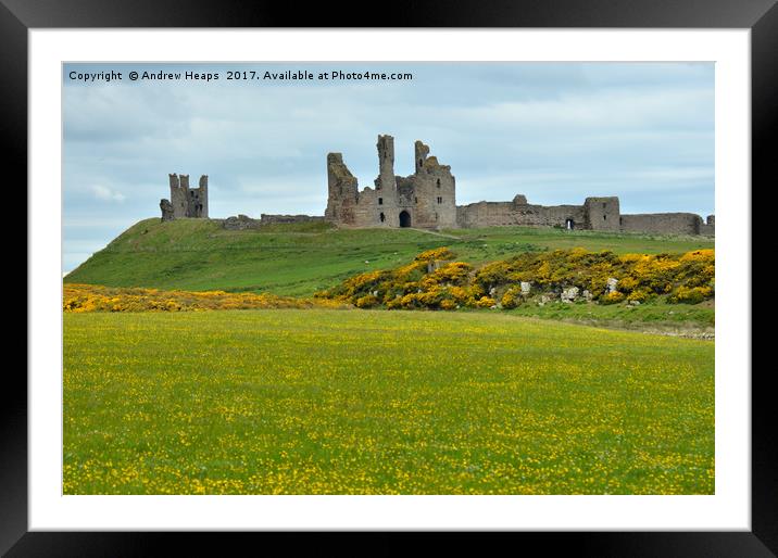 Dunstanburgh Castle Framed Mounted Print by Andrew Heaps