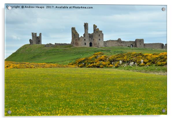 Dunstanburgh Castle Acrylic by Andrew Heaps