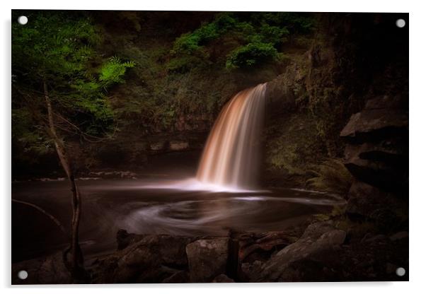 Lady Falls Sgwd Gwladus waterfall Acrylic by Leighton Collins