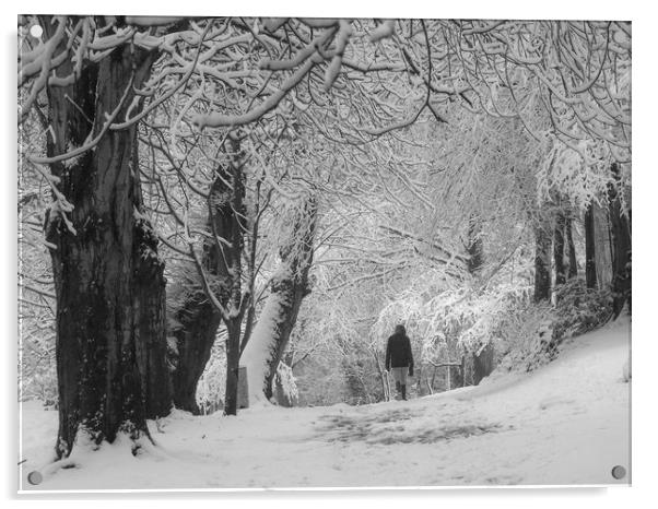 Winter Walk    Acrylic by Victor Burnside
