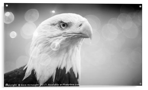 Black and White Eagle  Acrylic by dave mcnaught