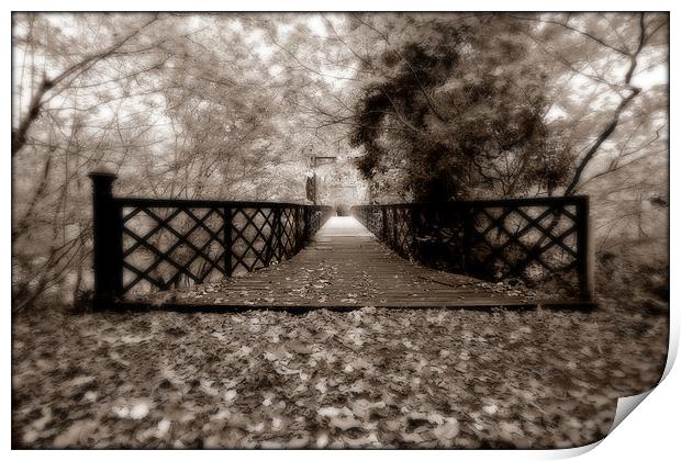 Leafy Bridge Print by Reg Atkinson