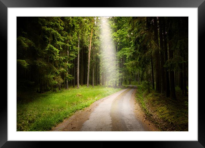 Road in green forest. Framed Mounted Print by Sergey Fedoskin
