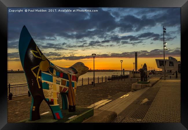 A Scouse Stand-Off At Dusk Framed Print by Paul Madden