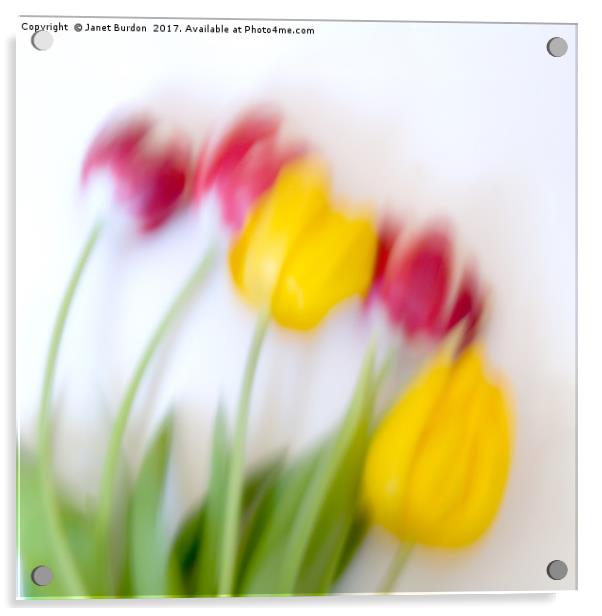 Five Tulips Acrylic by Janet Burdon