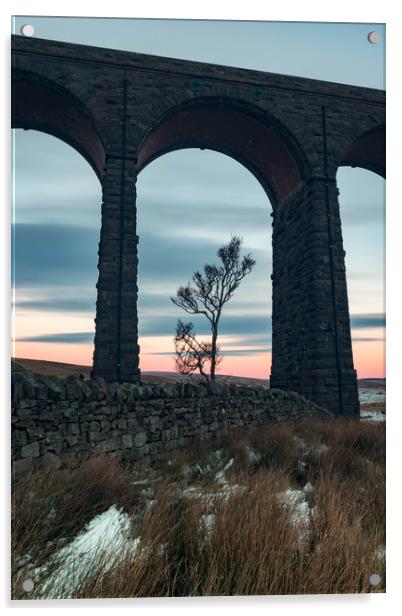 A lone tree under Ribblehead Viaduct  Acrylic by Nigel Smith