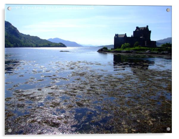 Eilean Donan Castle , the Highlands , Scotland Acrylic by Photogold Prints