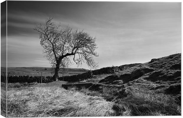 Above Skirethornes Canvas Print by Steve Glover