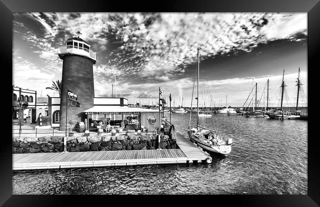 Waterbus arriving at the Marina in B&W Framed Print by Naylor's Photography