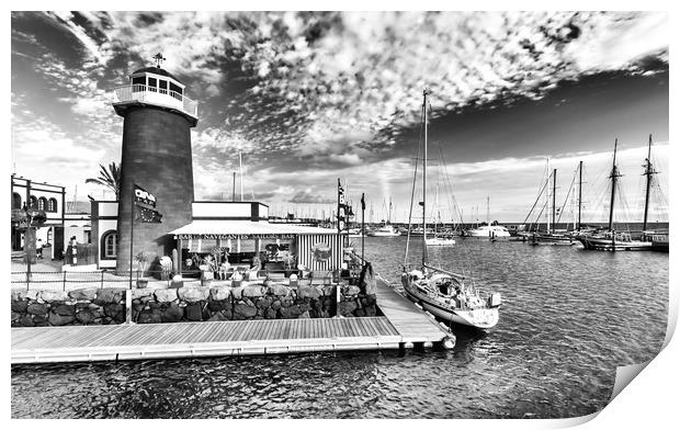 Waterbus arriving at the Marina in B&W Print by Naylor's Photography
