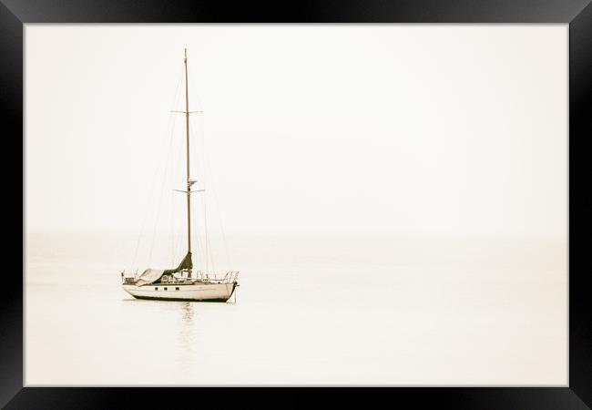 Sailing Boat Framed Print by Ed Alexander
