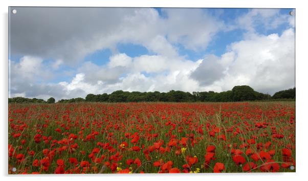 Poppy Field near Milton Abbas, Dorset 2 Acrylic by Colin Tracy