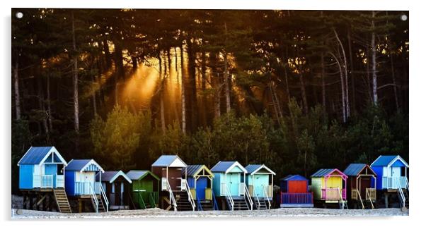Beach huts on Wells beach Acrylic by Gary Pearson