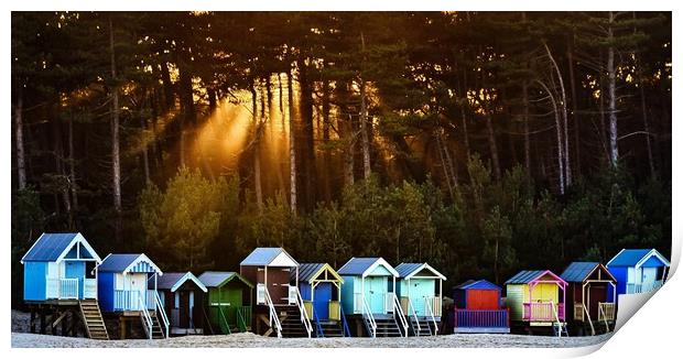 Beach huts on Wells beach Print by Gary Pearson